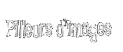 Pilleurs d'images